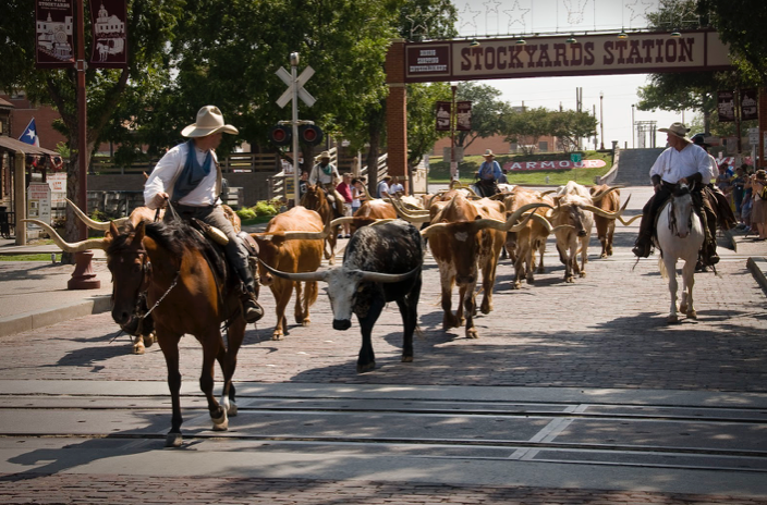 a man riding a horse on a city street